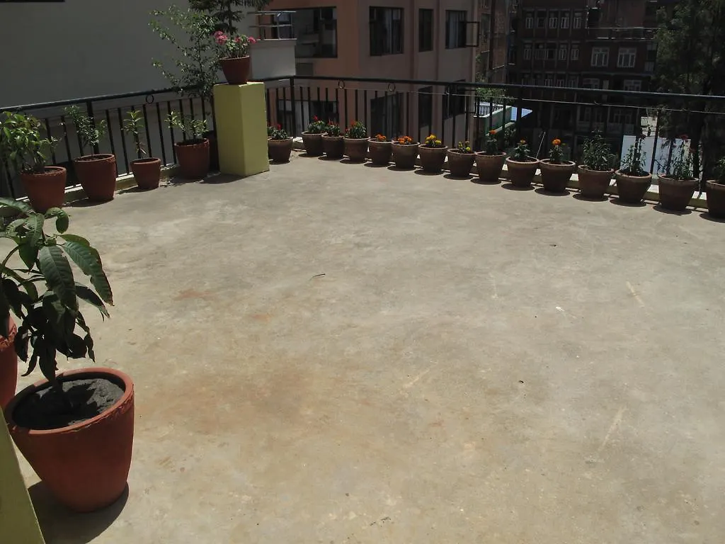 Mountain Peace Guest House 加德满都 尼泊尔