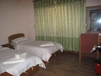 Mountain Peace Guest House 加德满都 公寓